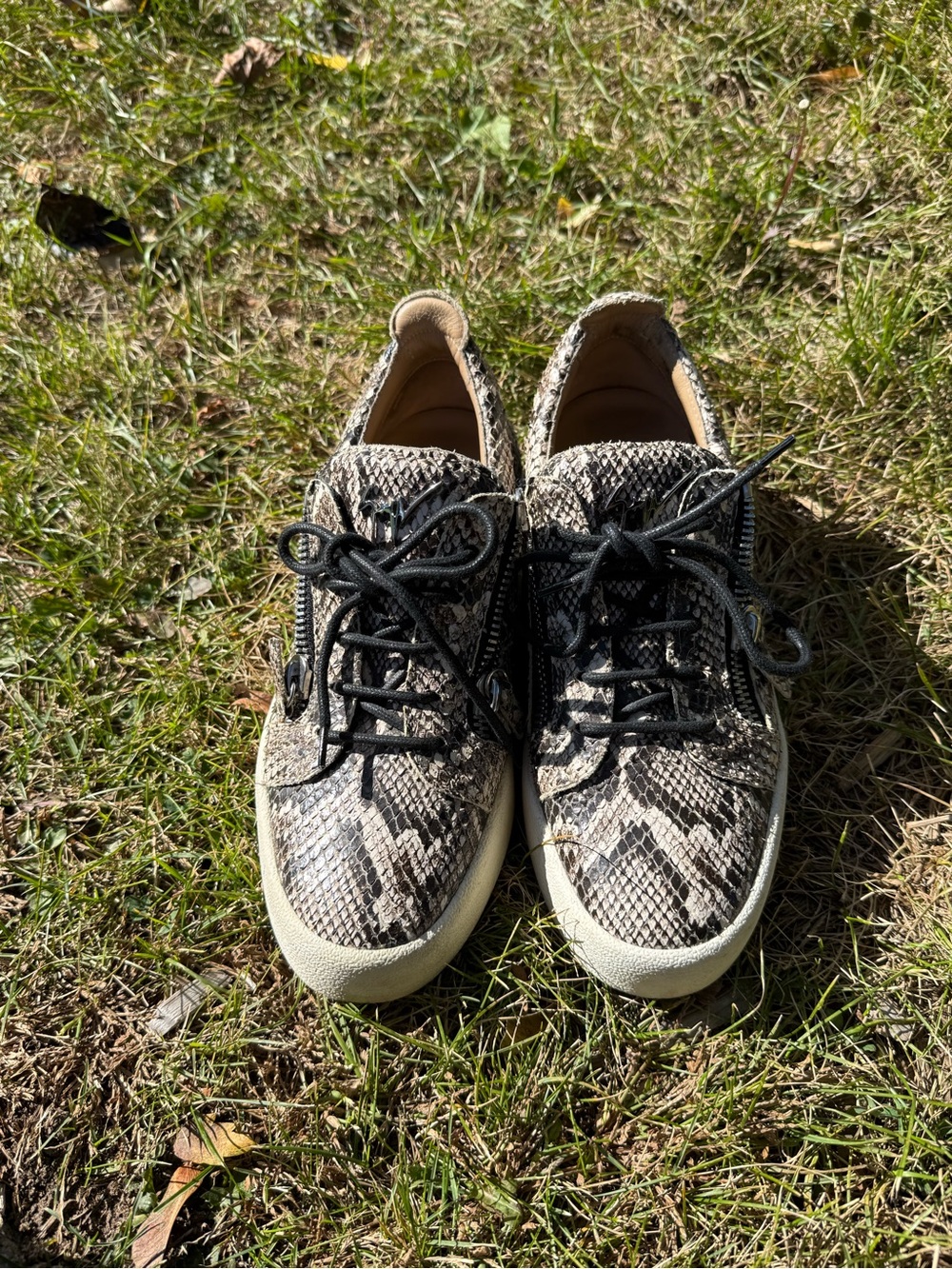 Womans Snake-Print Lace-Up Sneakers in Black and Cream